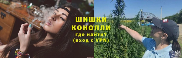 трава Лабытнанги