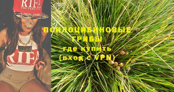 мдма Ладушкин
