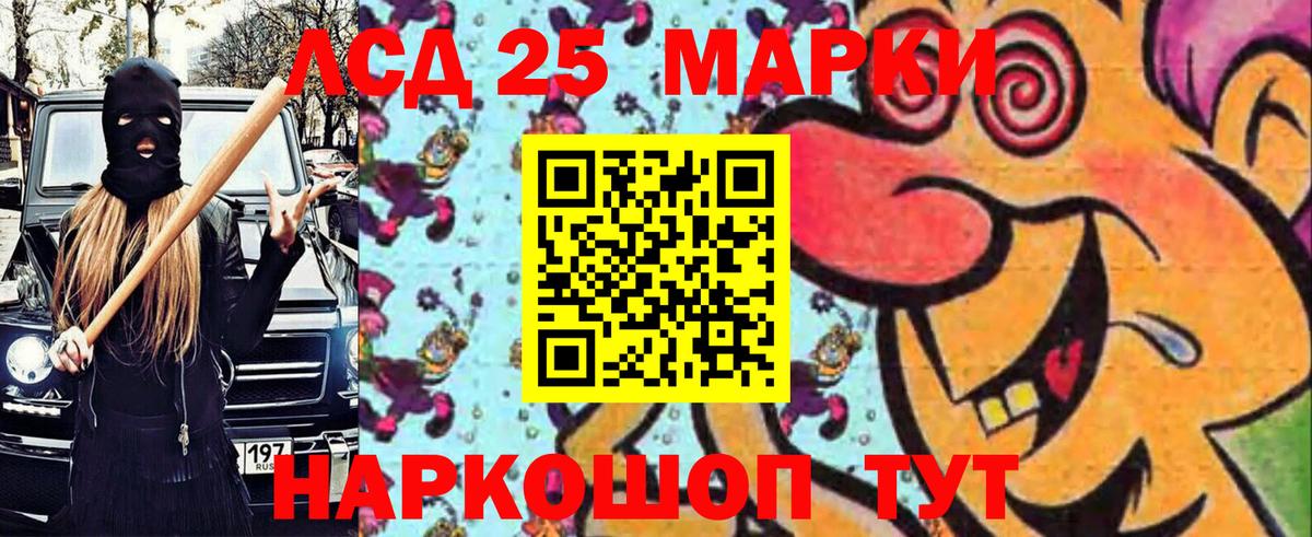 Марки N-bome 1,8мг  Вход с VPN  Лесной  Марки N-bome 1,8мг 