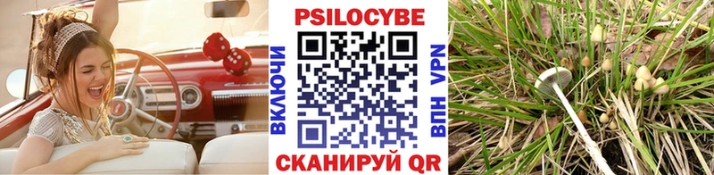 Псилоцибиновые грибы Psilocybine cubensis хочу Лесной
