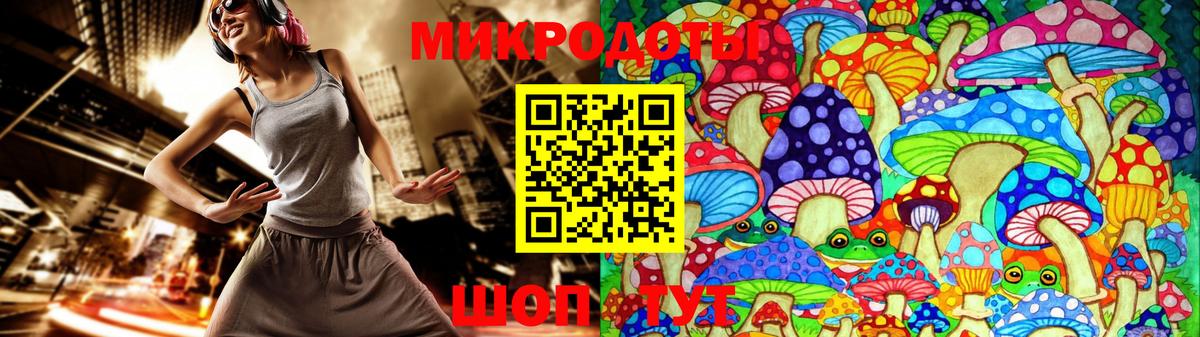 Псилоцибиновые грибы Psilocybe Лесной