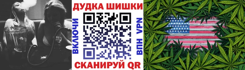 Бошки Шишки семена hydra ONION Лесной
